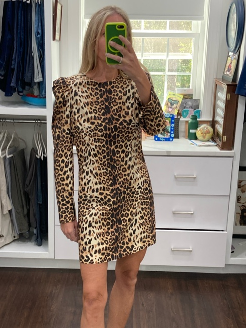 Tuckernuck Leopard-Print Mini Dress in Brown and Tan